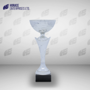 Economy Trophy 009