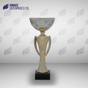 Economy Trophy 010