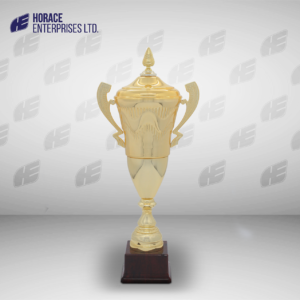 Medium Trophy 006