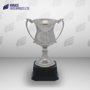 HS TROPHY 001