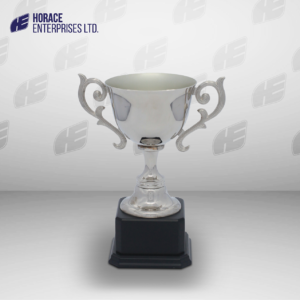 HS TROPHY 003