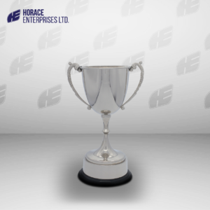 HS TROPHY 009