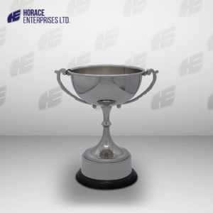 HS TROPHY 010