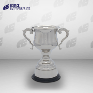 HS TROPHY 012